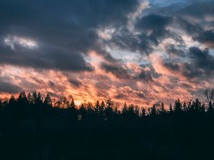 Превью обои облака, деревья, небо, закат