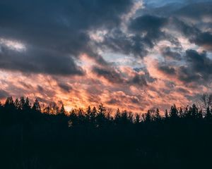 Превью обои облака, деревья, небо, закат