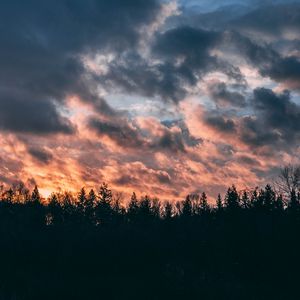 Превью обои облака, деревья, небо, закат