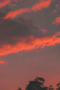 Превью обои облака, дерево, небо, закат, оранжевый