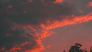 Превью обои облака, дерево, небо, закат, оранжевый