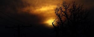 Превью обои облака, дерево, силуэты, закат, темный