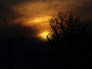 Превью обои облака, дерево, силуэты, закат, темный