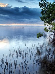 Превью обои облака, море, водная поверхность, трава, кусты, деревья