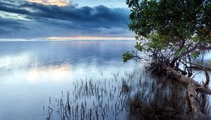 Превью обои облака, море, водная поверхность, трава, кусты, деревья