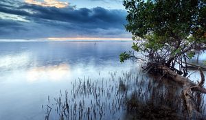 Превью обои облака, море, водная поверхность, трава, кусты, деревья