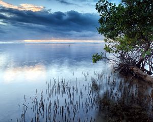 Превью обои облака, море, водная поверхность, трава, кусты, деревья