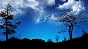 Превью обои облака, небо, ночь, очертания, голубой, черный, деревья
