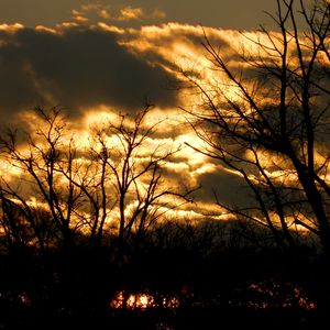 Превью обои облака, небо, очертания, деревья, цвет