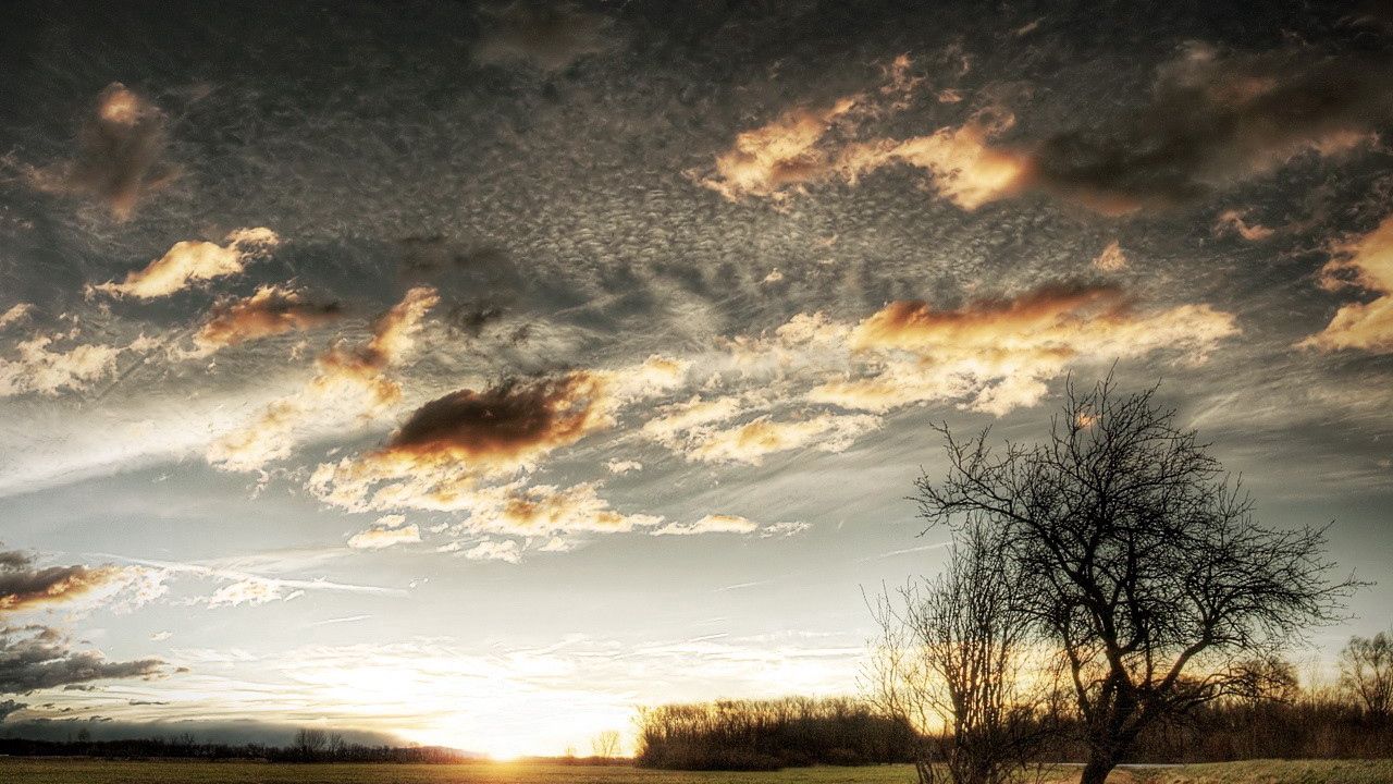 Обои облака, небо, поле, трава, дерево, солнце
