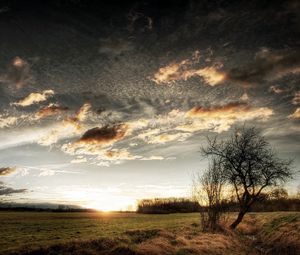 Превью обои облака, небо, поле, трава, дерево, солнце