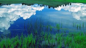 Превью обои облака, небо, поле, трава, отражение, озеро, голубой, белый, зеленый