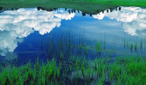 Превью обои облака, небо, поле, трава, отражение, озеро, голубой, белый, зеленый