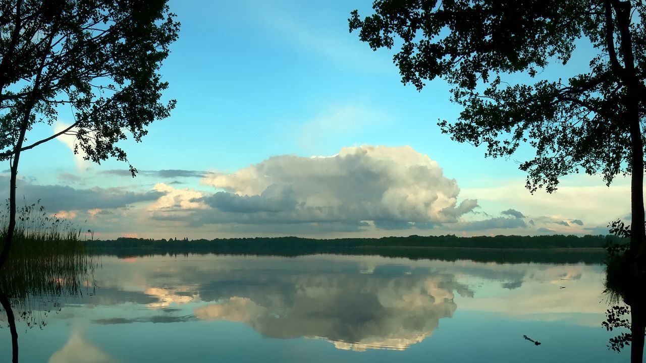 Обои облака, объемные, деревья, отражение, пруд
