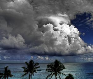 Превью обои облака, объемные, небо, пальмы, море