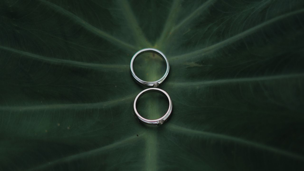 Обои обручальные кольца, кольца, пара, любовь, свадьба