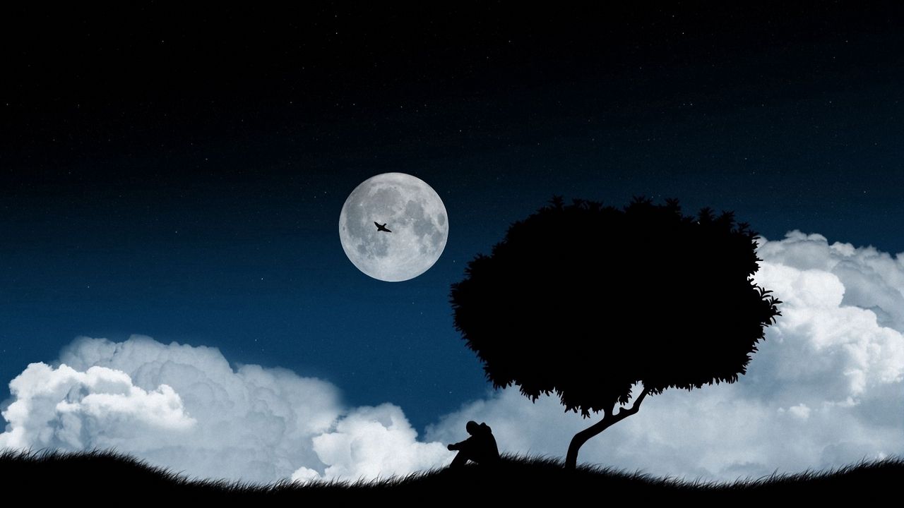 Обои одиночество, дерево, ночь, поляна, небо, темный