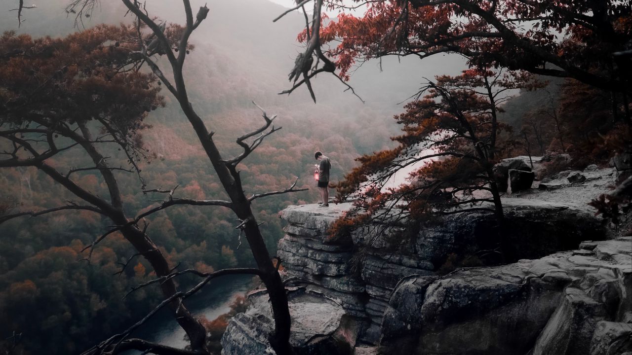 Обои одиночество, горы, туман, деревья