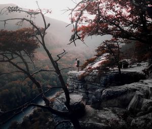 Превью обои одиночество, горы, туман, деревья