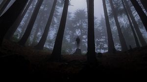 Превью обои одиночество, одинокий, лес, туман, мрак
