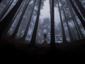 Превью обои одиночество, одинокий, лес, туман, мрак