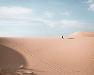 Превью обои одиночество, одинокий, пустыня, горизонт