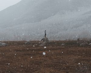 Превью обои одиночество, одинокий, снег, снежинки, холм