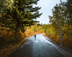 Превью обои одиночество, прогулка, дорога, осень, уединение, лес