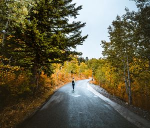 Превью обои одиночество, прогулка, дорога, осень, уединение, лес