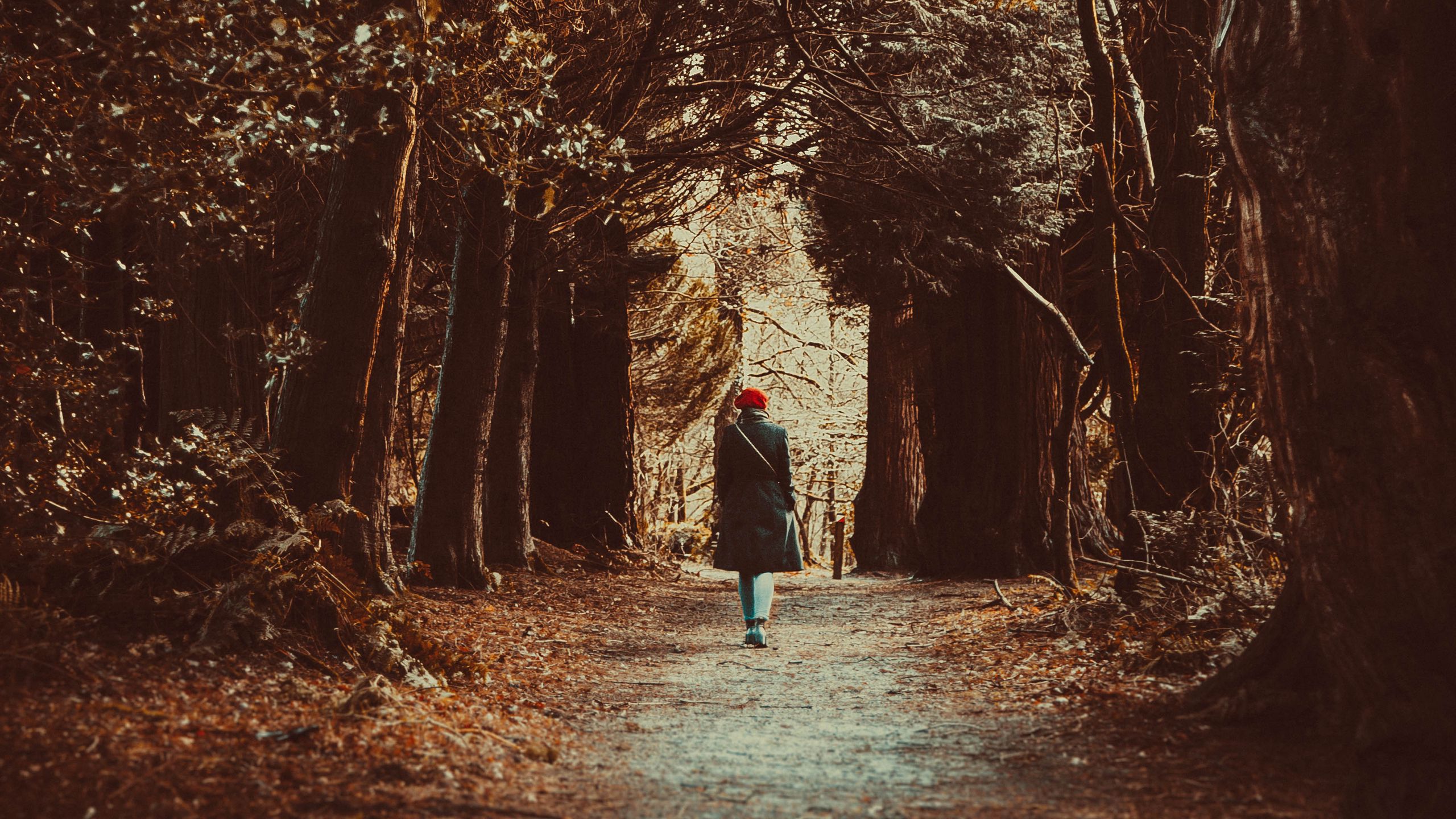 Люблю гулять в лесу. Осень одиночество. Прогулка в одиночестве. Осенняя прогулка. Прогулка по осеннему лесу.