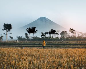 Превью обои одиночество, уединение, поле, гора, пальмы, индонезия