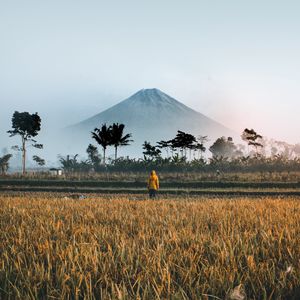 Превью обои одиночество, уединение, поле, гора, пальмы, индонезия