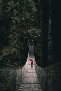 Превью обои одинокий, одиночество, мост, лес