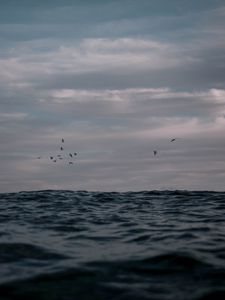 Превью обои океан, волны, вода, птицы