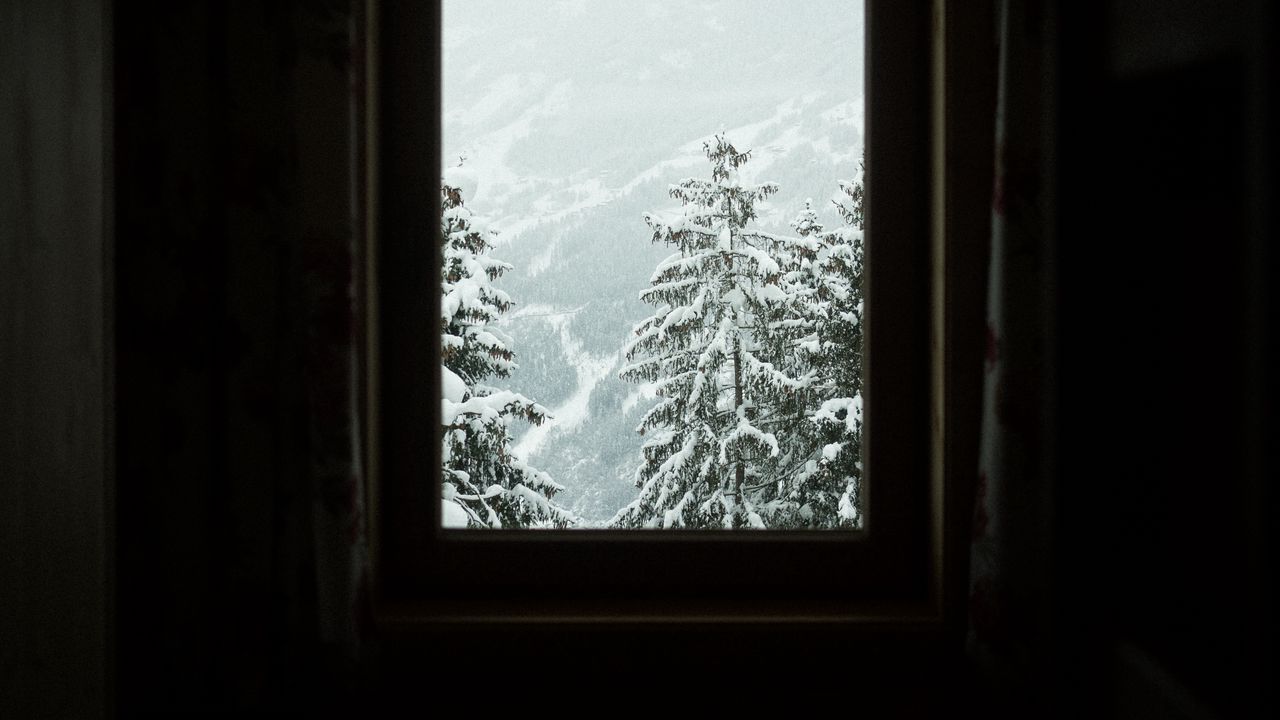 Обои окно, деревья, зима, заснеженный