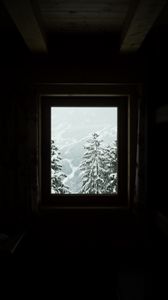 Превью обои окно, деревья, зима, заснеженный