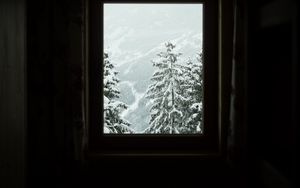 Превью обои окно, деревья, зима, заснеженный