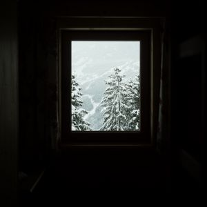 Превью обои окно, деревья, зима, заснеженный