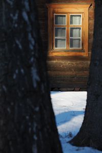 Превью обои окно, дом, деревья, снег, зима