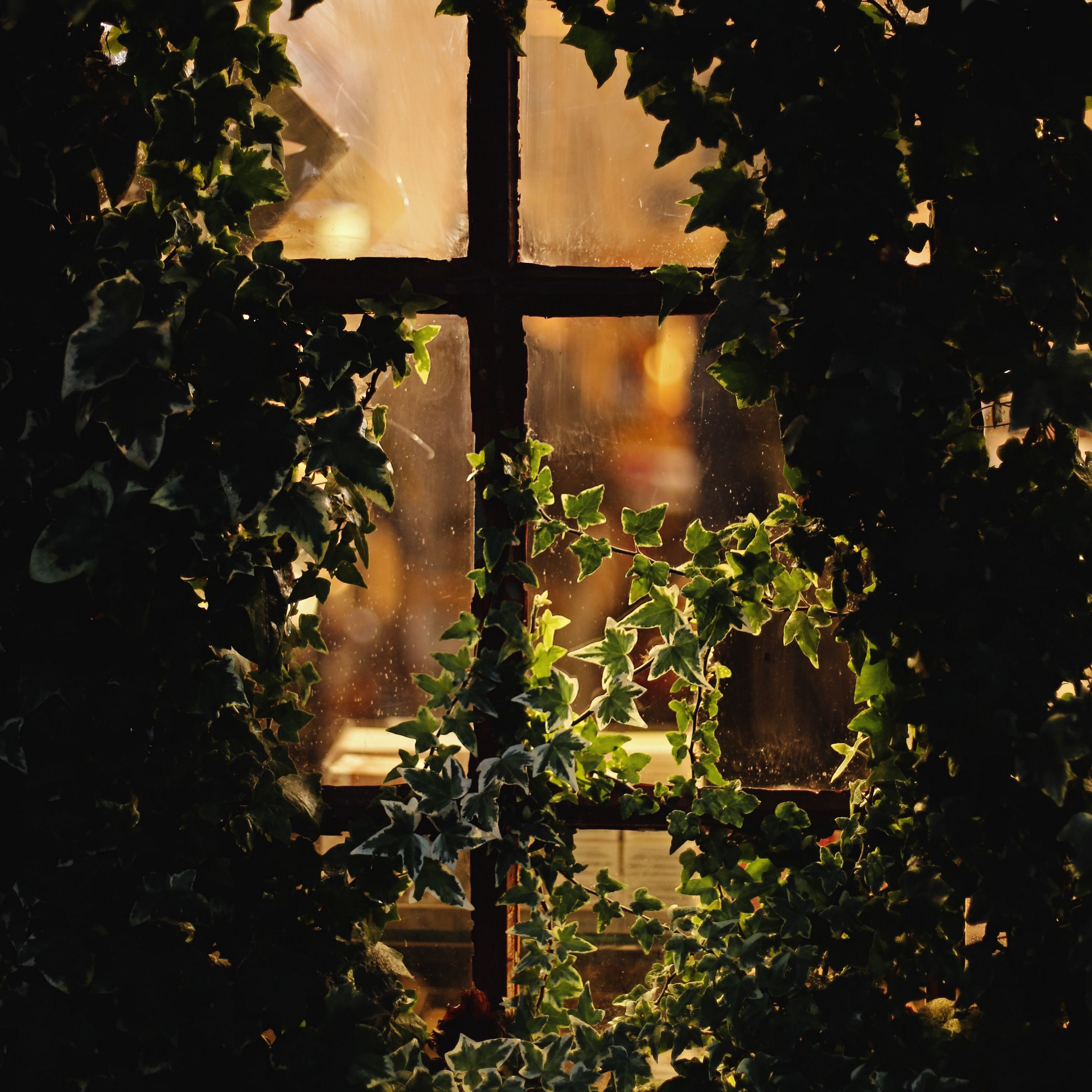 Был вечер за окном. Окно с видом на природу. Вечернее окно. Вечер за окном. Окно вечер.