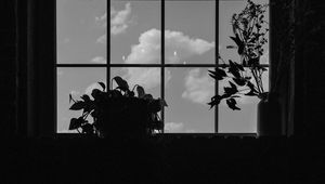 Превью обои окно, растения, листья, темный, чб