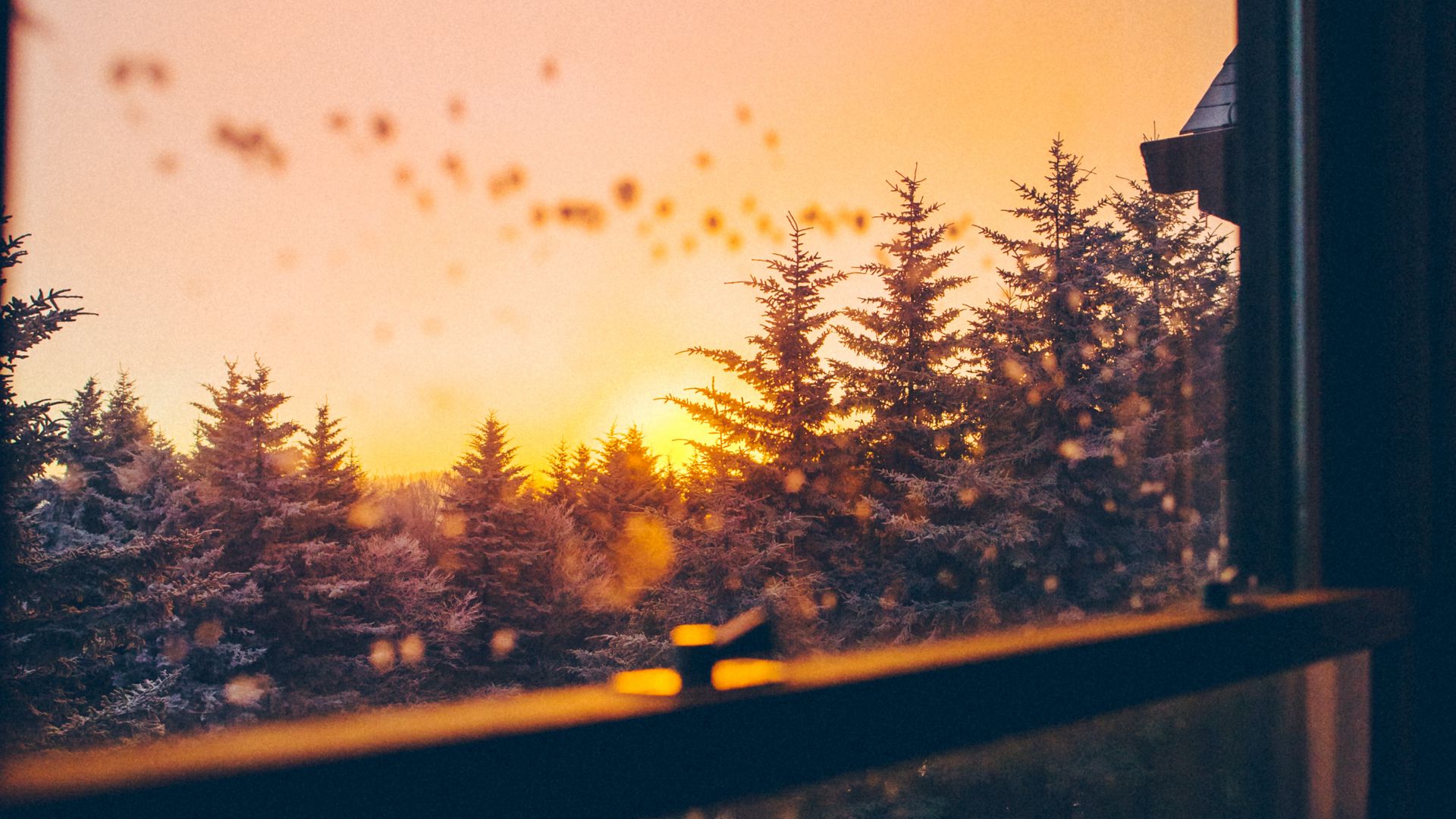 Зимний рассвет за окном