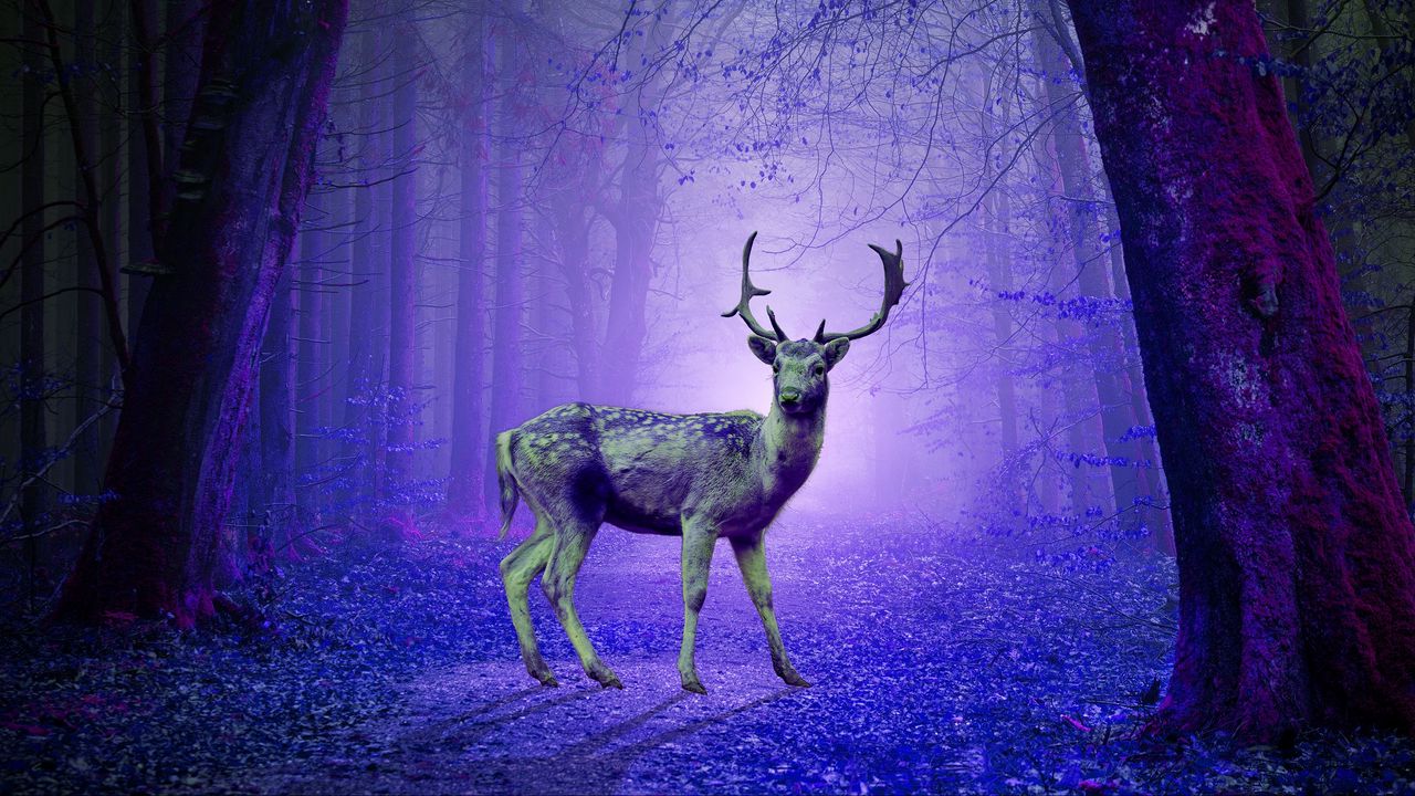 Обои олень, лес, мистический, фиолетовый, фотошоп
