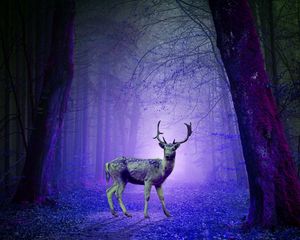 Превью обои олень, лес, мистический, фиолетовый, фотошоп