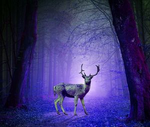 Превью обои олень, лес, мистический, фиолетовый, фотошоп