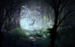 Превью обои олень, лес, свет, арт, дикая природа