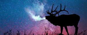 Превью обои олень, силуэт, галактика, звезды