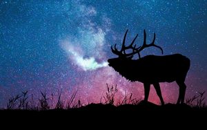 Превью обои олень, силуэт, галактика, звезды