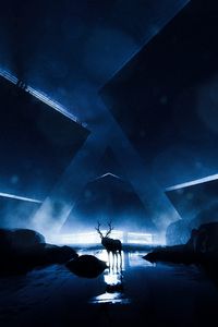 Превью обои олень, силуэт, животное, свечение, темнота, темный