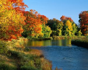 Превью обои онтарио, канада, деревья, река, берега, осень, течение